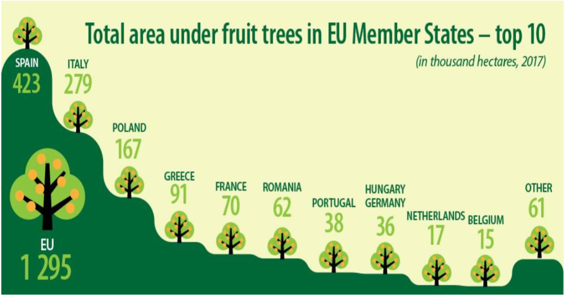 Drzewa owocowe w Europie
