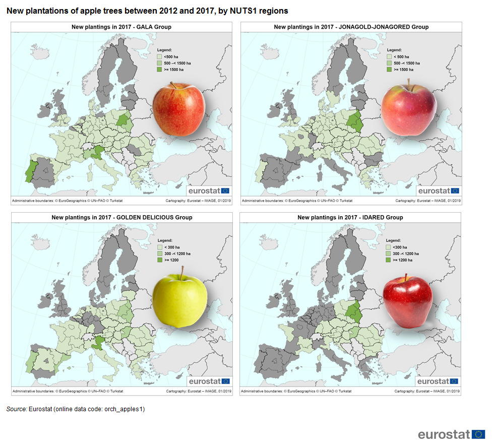 Plantacje sadów jabłoniowych w Unii Europejskiej
